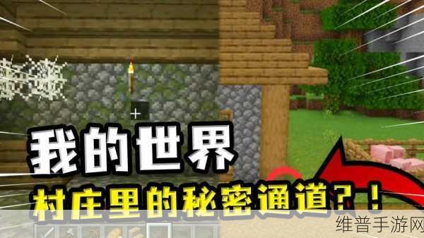 秘密通道如何出去：1. 探秘暗道：如何安全脱离困境