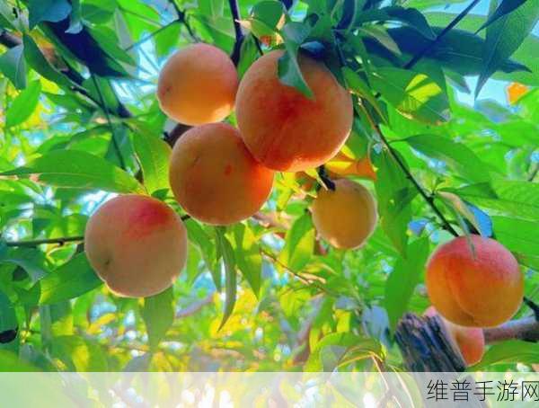 X7X7X7X7水蜜桃：1. 水蜜桃的魅力：探索X7X7X7X7背后的故事