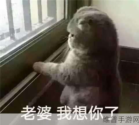我女朋友的妈妈热度评分：当然可以！以下是一些根据您女朋友妈妈的热度评分扩展出的标题建议：