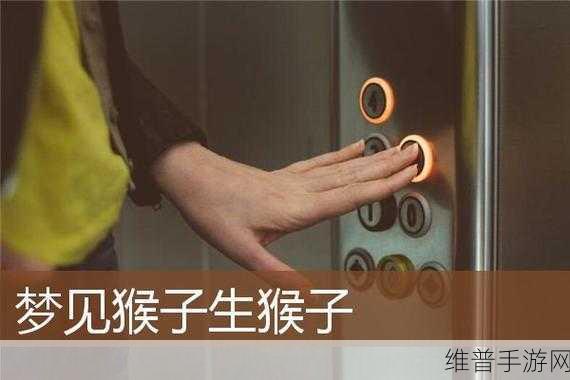 打牌生猴子的视频大全教程：1. ＂打牌生猴子技巧揭秘：从新手到高手的必看教程