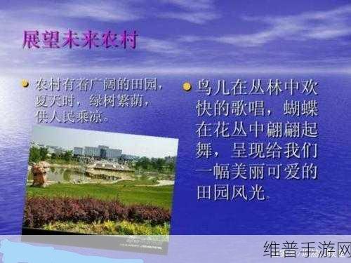 综合一区中：1. 综合一区的多元化发展与未来展望