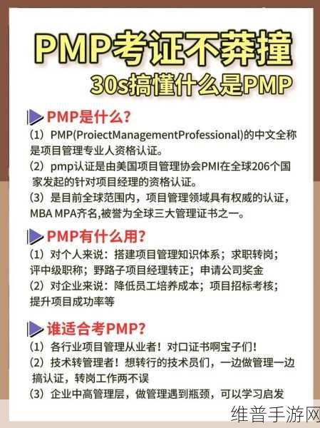 深入浅出PMP:1. 从零基础到PMP专家:项目管理全景指南
