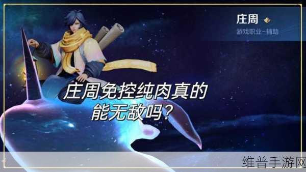 王者荣耀2023庄周云端筑梦师皮肤返场全攻略，价格与细节详解