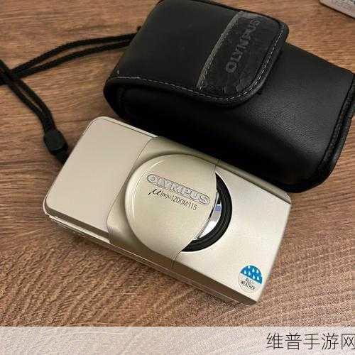 最新人与ZOOM-v1.2.2堪称经典播放器：ZOOM-v1.2.2：经典播放器的新篇章与无限可能