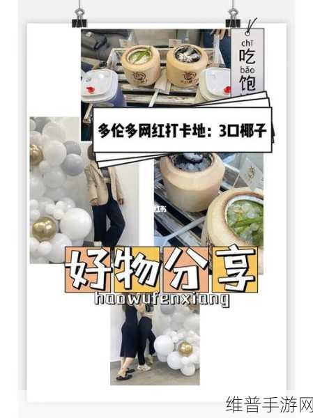 3个人一起玩3Q感签约人气挖网红：1. 三人联手玩转3Q感，网红拓展新天地！
