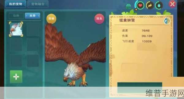 创造与魔法，老手必备坐骑攻略与实用功能解析