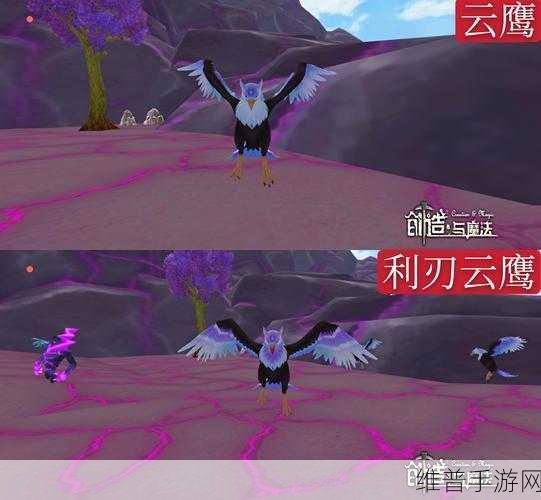 创造与魔法，老手必备坐骑攻略与实用功能解析