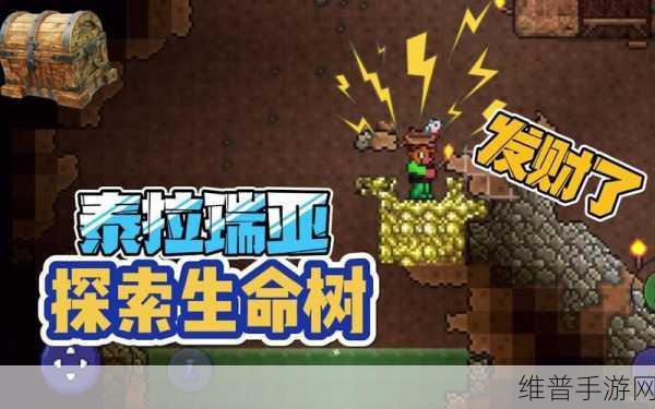 泰拉瑞亚手游攻略，探索最佳建房石头选择