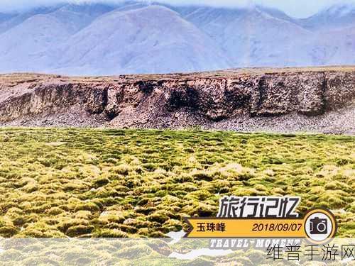 必看无人区一码二码三码:1. 深入探秘无人区的神秘之旅