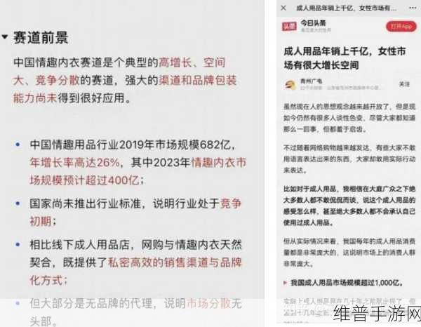 成人用品网店进货渠道：1. 探索创新成人用品供应链，助力网店盈利增长