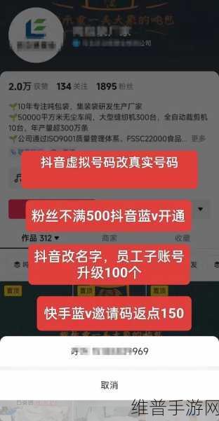 抖音蓝V绑定子账号全攻略，手游公司如何高效管理多个账号