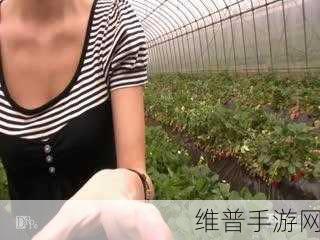 国产未成女YOUNV仙踪林:1. 寻找青春的足迹:未成女YOUNV仙踪林之旅