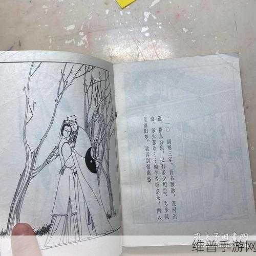 桃花扇1v2双生子完结了吗：当然可以，以下是一些基于《桃花扇1v2双生子》主题的新标题建议：