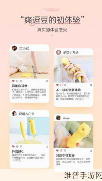 双跳dan怎么用放在哪：1. 双跳dan的使用技巧与实战案例分析
