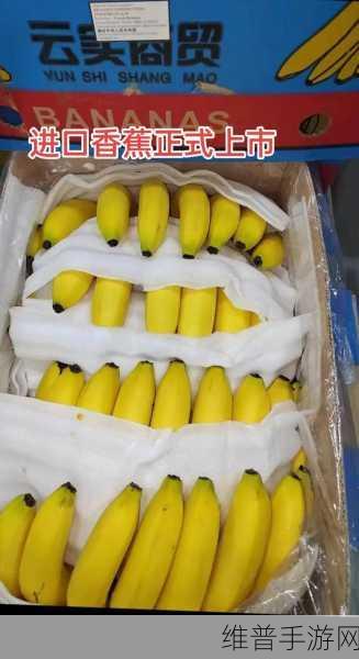 重庆香蕉人力资源管理有限公司：1. 重庆香蕉人力资源：助您企业腾飞的合作伙伴