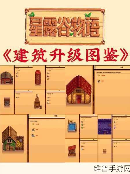 星露谷物语，罗宾位置全攻略