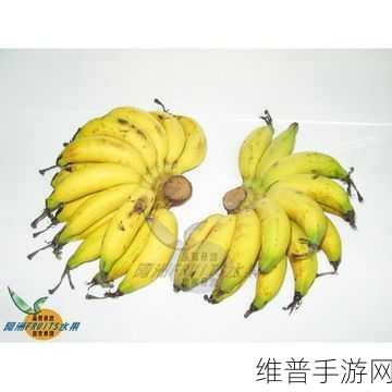 国产无人区玫瑰香蕉：1. 《国产无人区玫瑰香蕉：探索新鲜果实的奇妙之旅