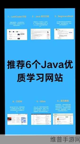 java成品网站：1. 精通Java开发：打造高效且稳定的成品网站