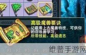 梦幻西游手游，云游道人神秘现身时间大揭秘
