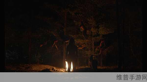 沈阳45岁的老阿姨叫的瘆人：1. 沈阳45岁老阿姨的恐怖故事：夜晚的阴影