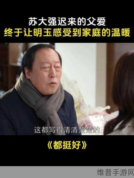 最美的儿媳妇苏大强是谁：1. 苏大强：最美儿媳妇背后的家庭故事