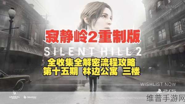 寂静岭 2 手游，探索林边公寓后院的秘诀