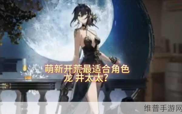 新月同行开荒角色最优之选指南