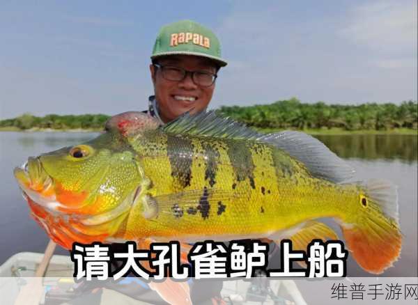 淑荣二次上船开到湖中间去：淑荣勇闯湖心，探寻未知的冒险之旅