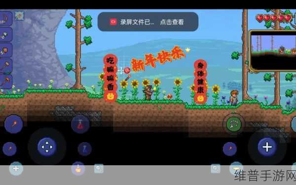泰拉瑞亚UP主的编辑器揭秘，打造个性化游戏体验的神奇工具