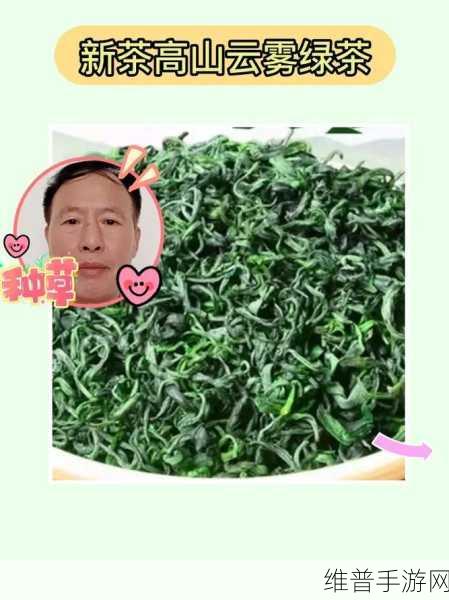 公主在御花园吃龙棍最经典一句台词：“公主在御花园吃龙棍，品味生活的独特韵味”