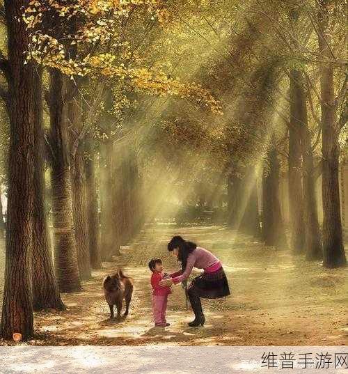 ЕКСЕ高清妈妈：1. 高清妈妈：记录生活中的每一个温暖瞬间