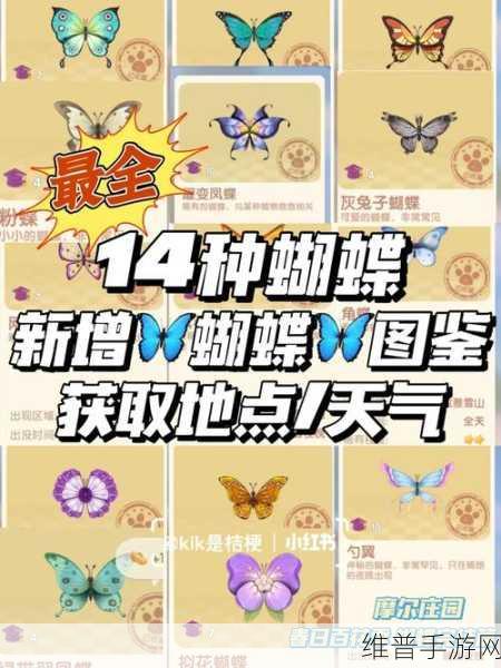 摩尔庄园手游深度攻略，溜冰鞋与服装获取全解析