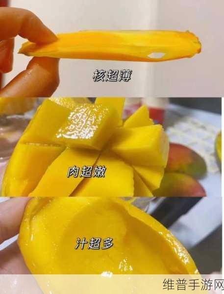 亚洲1区1区3区4区产品乱码芒果：1. 亚洲各区产品对比：从乱码到芒果的全面解析