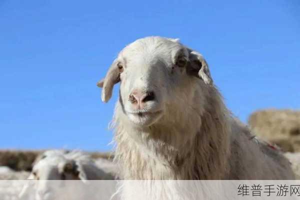 lipin9com羊羊乌染：当然可以！以下是一些基于“lipin9com羊羊乌染”的新标题建议：