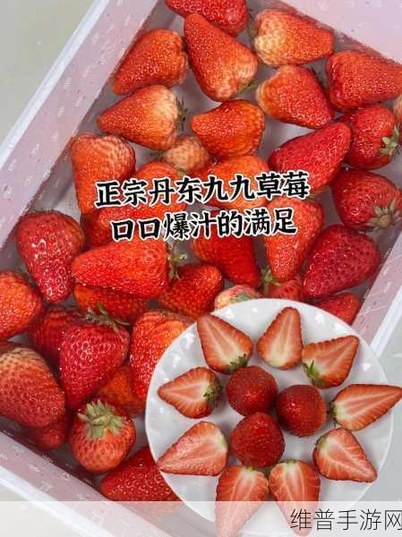 久久草莓还是九九草莓：1. 草莓的季节：从久久到九九的甜蜜旅程
