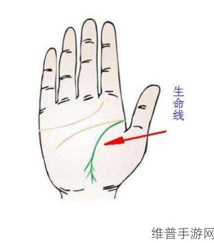 一只手刚好能握住：1. 握住生命的机会：一只手的力量
