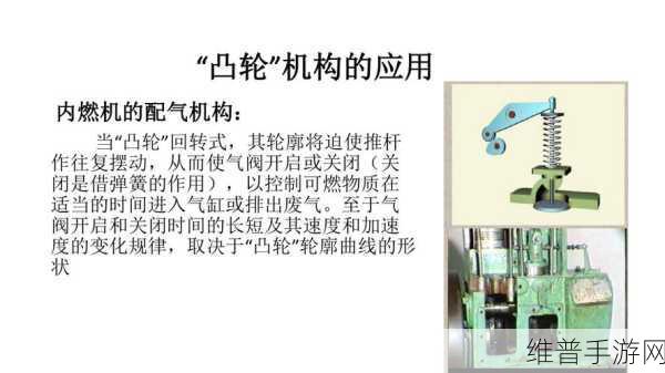 性别自由凸轮管汇编：性别自由凸轮管的创新应用与发展趋势探讨