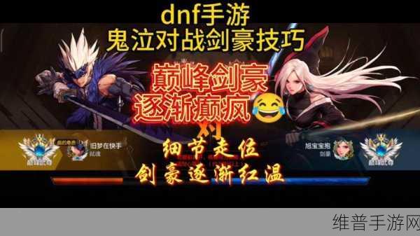 DNF 手游剑豪与鬼泣职业全方位深度剖析