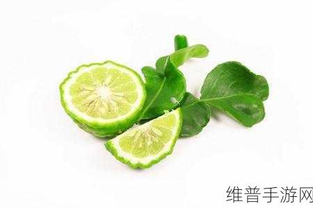 青柠在线观看视频不光有视频还有直播：1. 青柠视界：视频与直播的完美融合