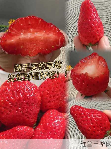 疼别放了装不下了草莓:1. 草莓的烦恼:装不下的甜蜜与梦想