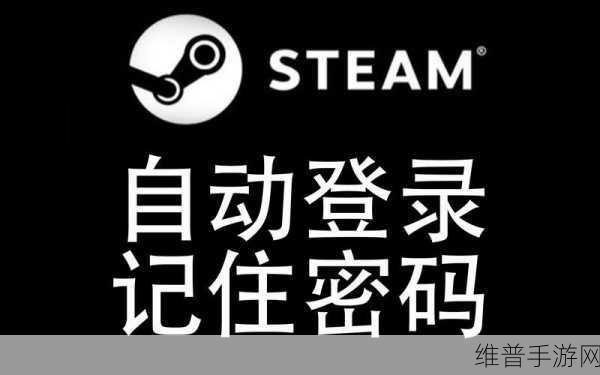 Steam手游登录安全机制详解，为何记住密码后仍需重复输入？