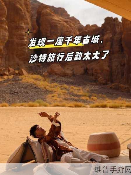 两个人看的www高清完整版：1. 《神秘旅程：两人共赏的高清奇幻冒险