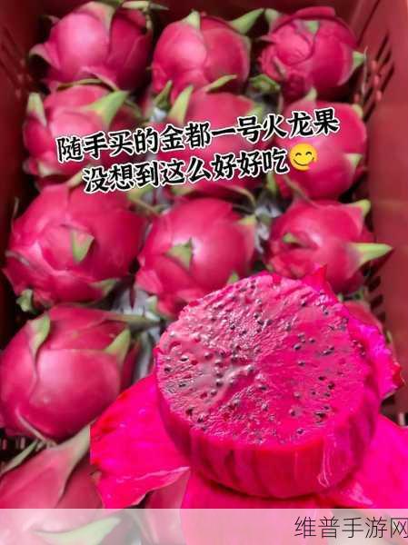 成品网站W灬源码火龙果：1. W灬源码火龙果：探索无限可能的成品网站