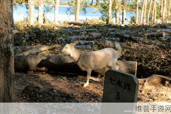 大地资源第二页免费观看：当然可以！以下是一些根据“大地资源”主题拓展的标题建议：