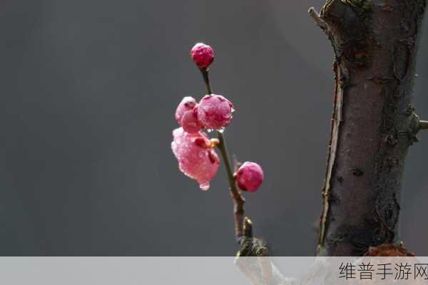 汉宫春晓61式图解梅花赋：1. 梅花绽放：春日的芬芳与希望