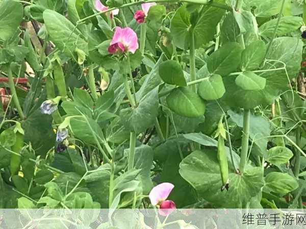 赵丽雅正搭公交车准备回家：1. 赵丽雅公交回家路上的温馨瞬间