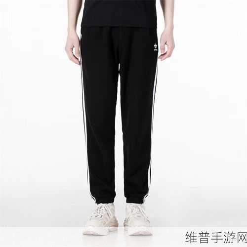 三叶草M码和欧洲码区别无法访问：理解三叶草M码与欧洲码的差异及其影响分析