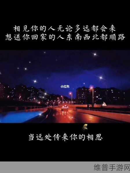 太久永久回家地址TAI9.TV保存永不迷路:1. 永久回家的导航:TAI9.TV助你找到归属