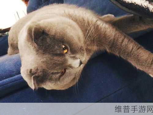 睡醒发现c1v1HHH：1. 睡醒后的奇幻旅程：C1V1HHH的神秘体验
