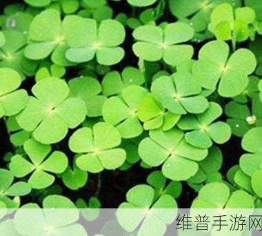 成品人和精品人的四叶草：1. 四叶草中的成品人：追求卓越的艺术家